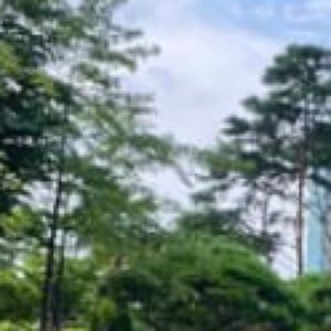 Meet your Posher, Han